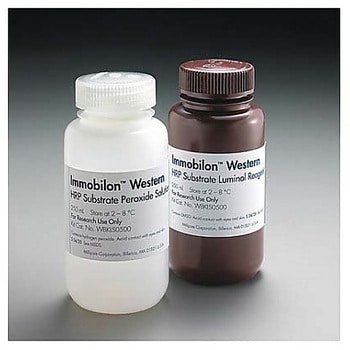 Immobilon Western 化学发光 HRP 底物，2 x 25mL 1SETMerck(默克密理博)WBKLS0050